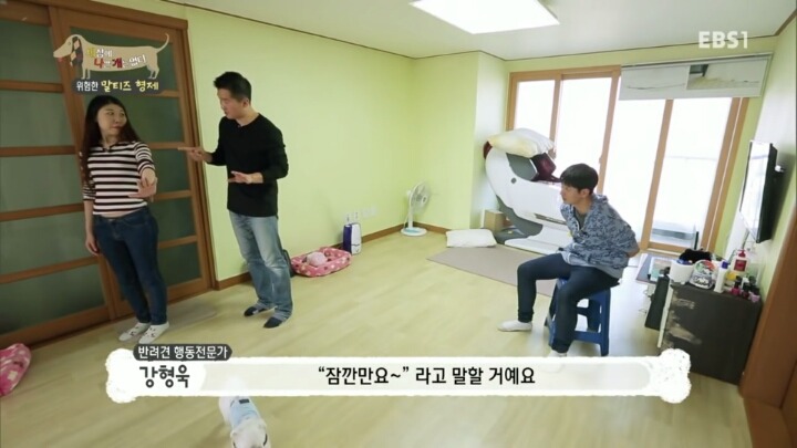 공격적인 반려견이 되는 이유 2부.jp | 인스티즈