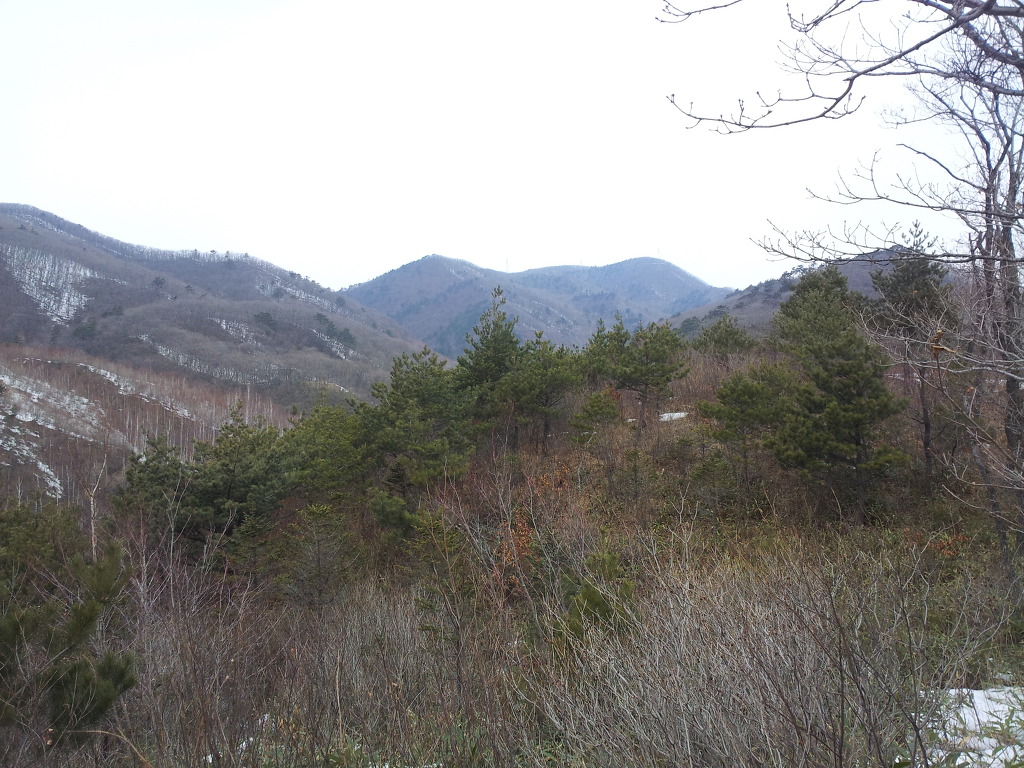 왕산1 이미지