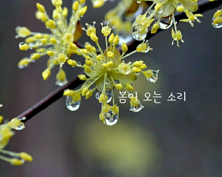 열두달달 이미지