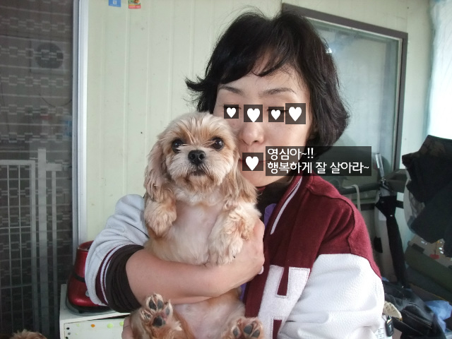 구트폼 이미지