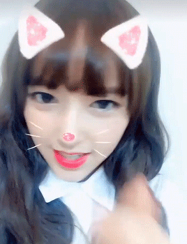 성소 닮은 고양이 | 인스티즈