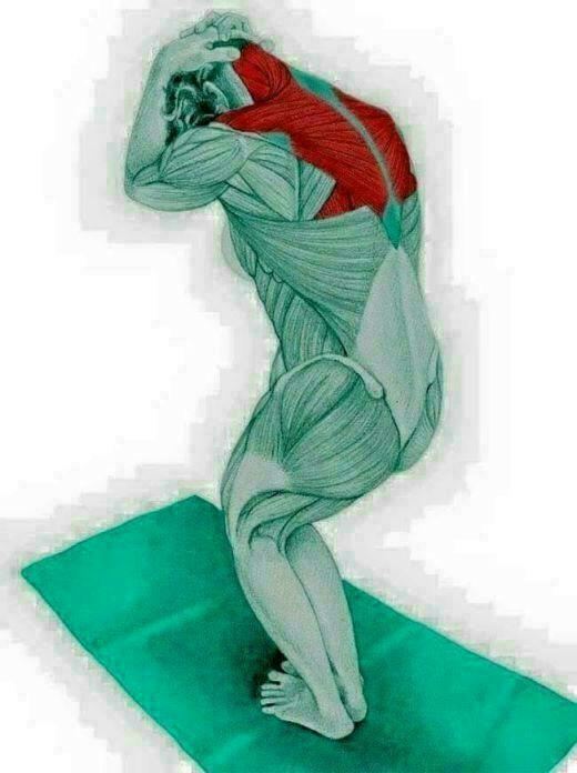 스트레칭 이미지