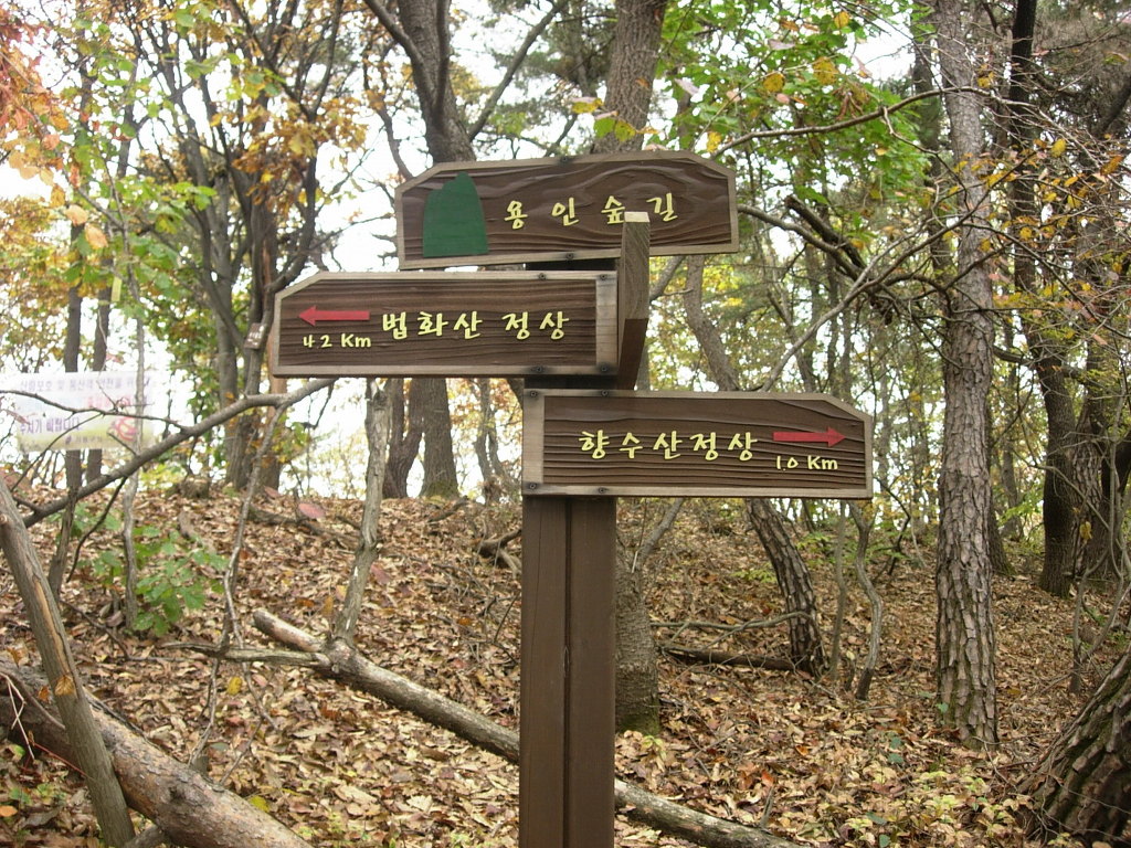 향수산 정상 이미지