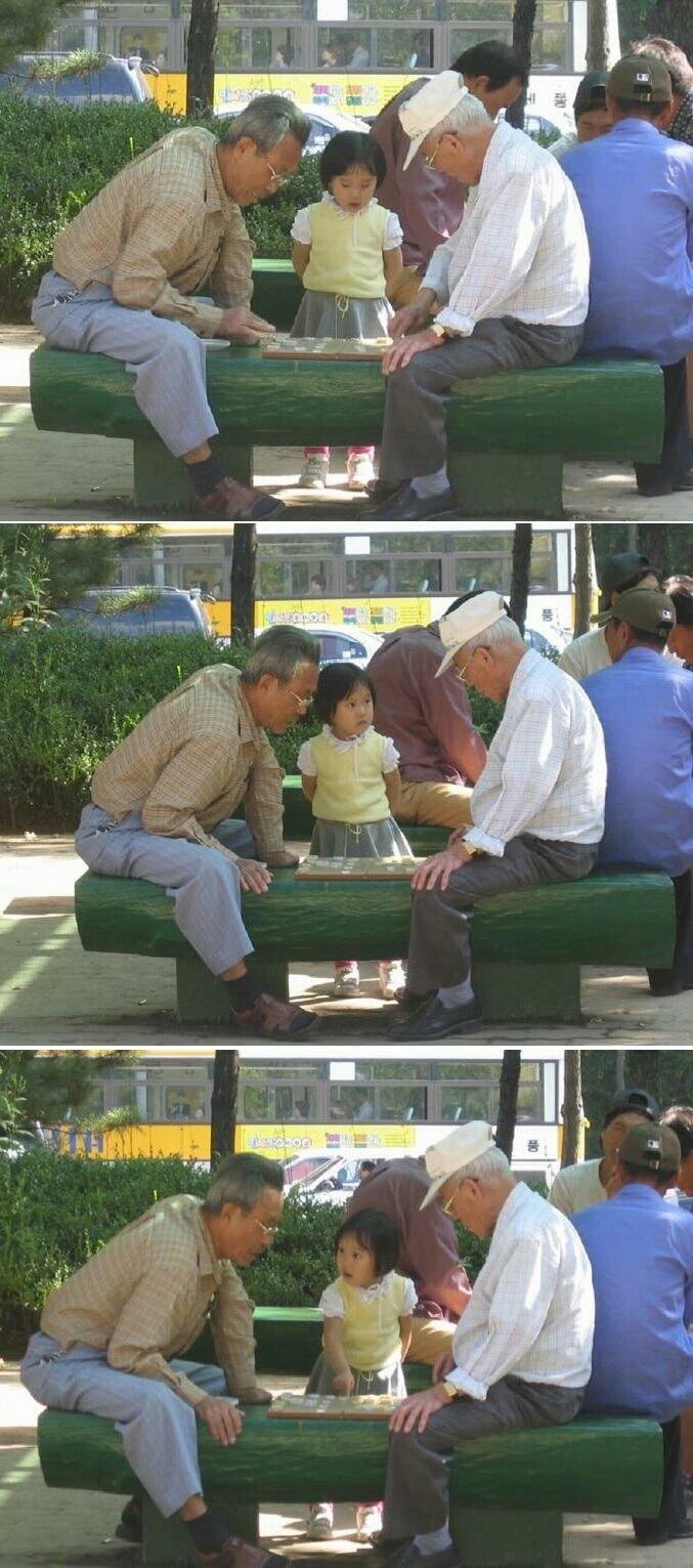 루리웹의 흔한 문과 만렙.JPG | 인스티즈