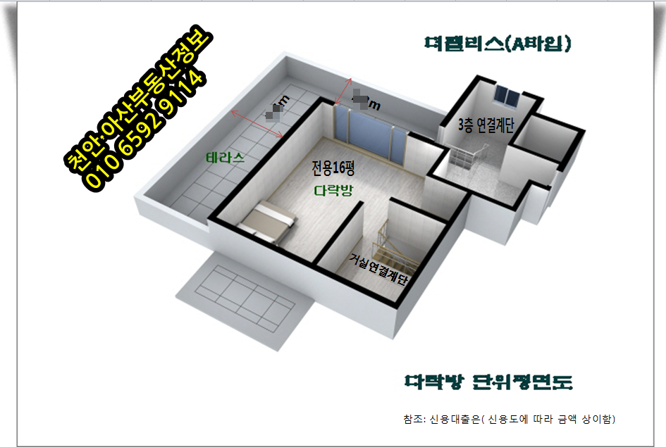 테라하우스 이미지