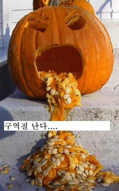 와사비 이미지