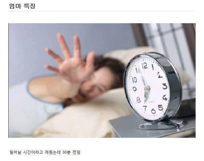 엄마들 특징 | 인스티즈