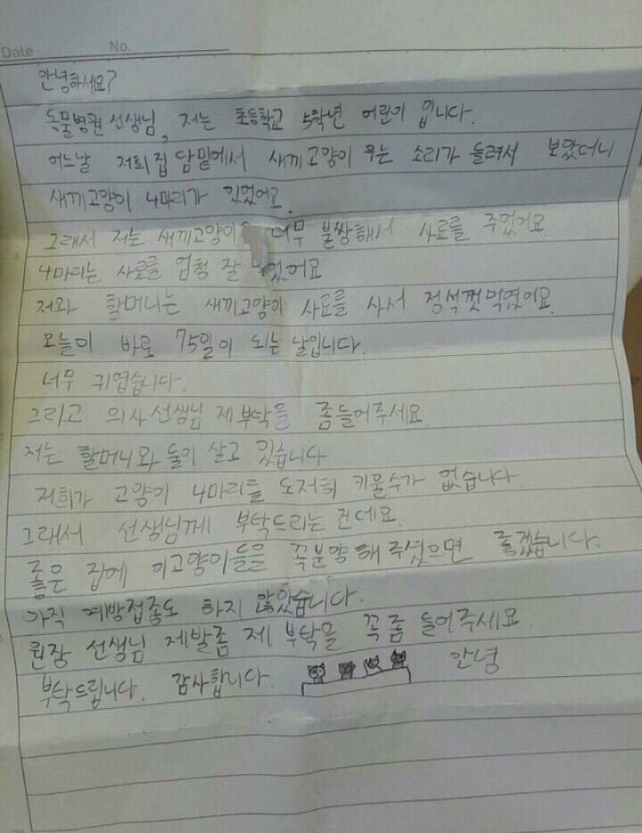 한 초등학생이 동물병원에 놓고 간 4마리의 고양이와 편지 | 인스티즈