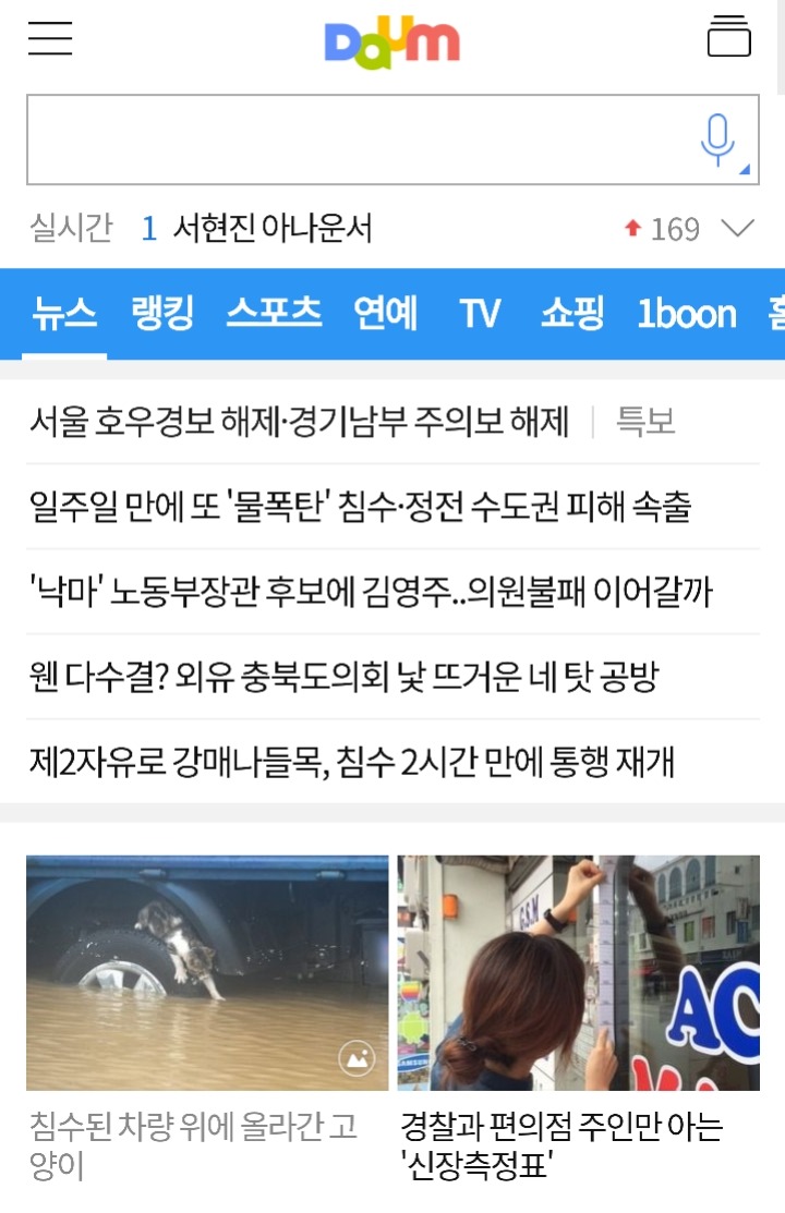 침수된 차량 위에 올라간 고양이 | 인스티즈