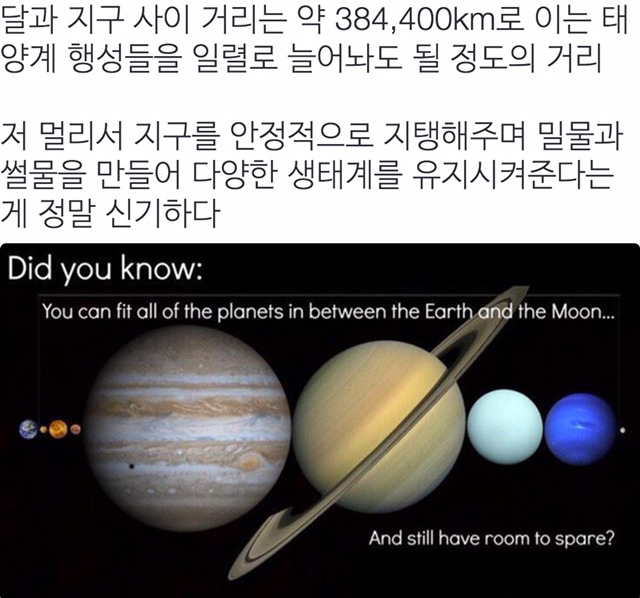 이과생 유머 몇가지 | 인스티즈