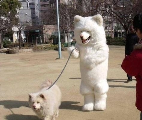 누 이미지