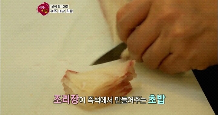 1년에 회 100톤 소비 제주도 횟집(feat. 대박의비밀) | 인스티즈