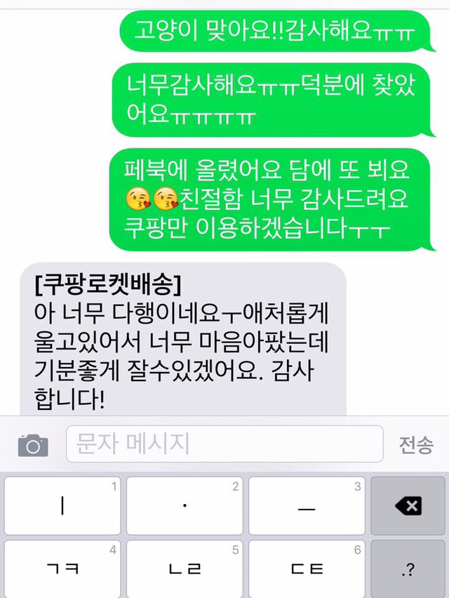 집나간줄모르고있었는데쿠팡맨덕에고양이찾았어요 | 인스티즈