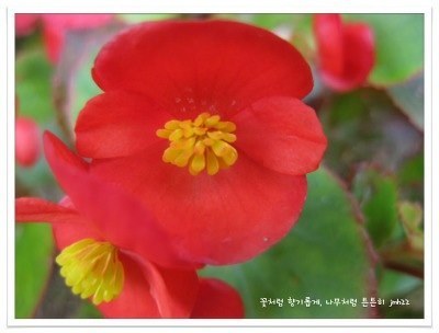 알콩달콩이야기 이미지