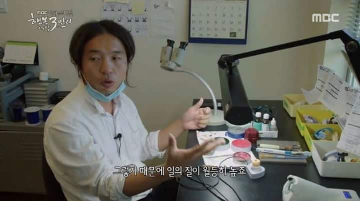 한국 사람들이 캐나다로 가는 이유 | 인스티즈