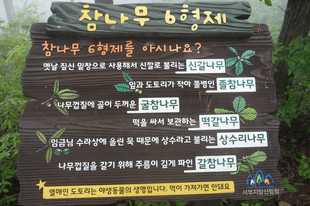 편백나무숲펜션 이미지