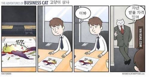 만약 고양이가 사장님이라면.jpg | 인스티즈