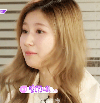 트와이스 사나가 살찌면..gif | 인스티즈