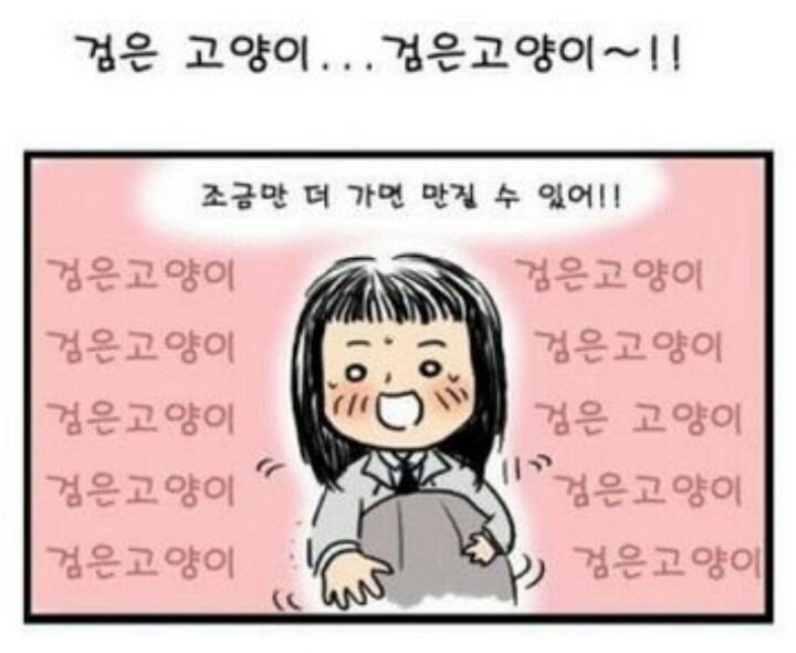 한밤중에 나타난 검은 고양이 | 인스티즈
