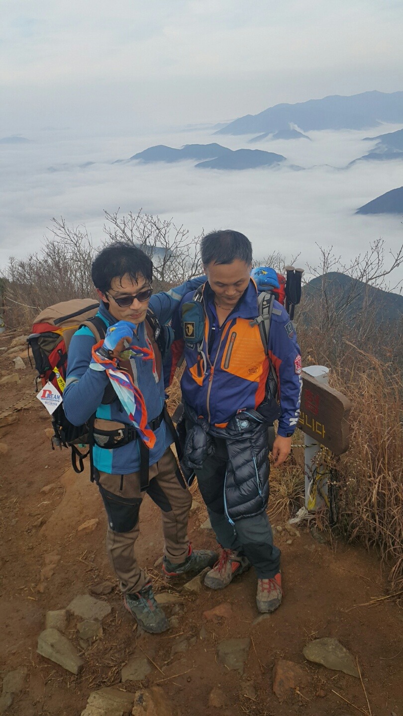 차화인 이미지