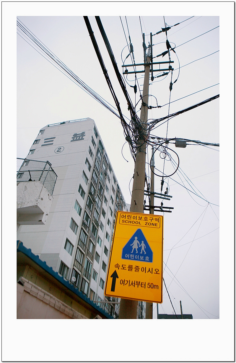 동명초등학교 이미지