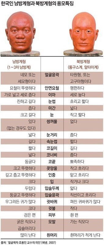 한국인 생김새로 보는 북방계형 남방계형 | 인스티즈