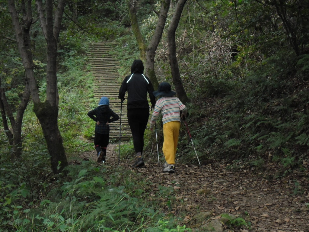 파평산 정상 이미지