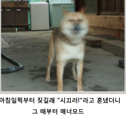 언제부터인지 쓰지 않는 단어 | 인스티즈