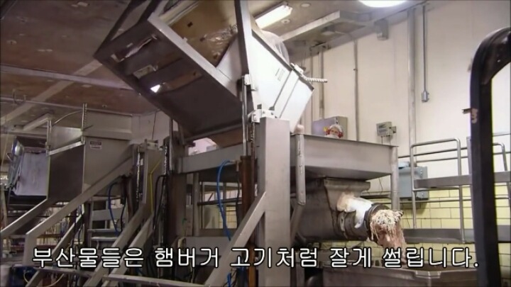 핫도그 소시지가 만들어지는 과정-1 | 인스티즈