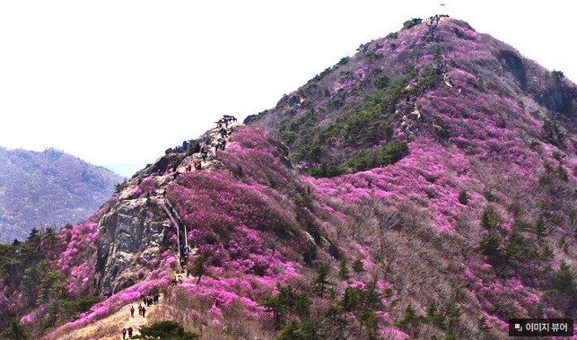 산내음 이미지