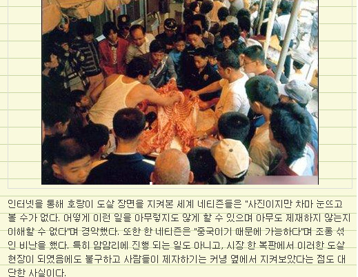 중국 호랑이도살.jpg (혐오주의) | 인스티즈