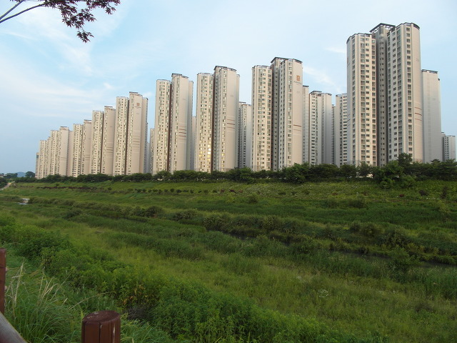 서울아산병원 이미지