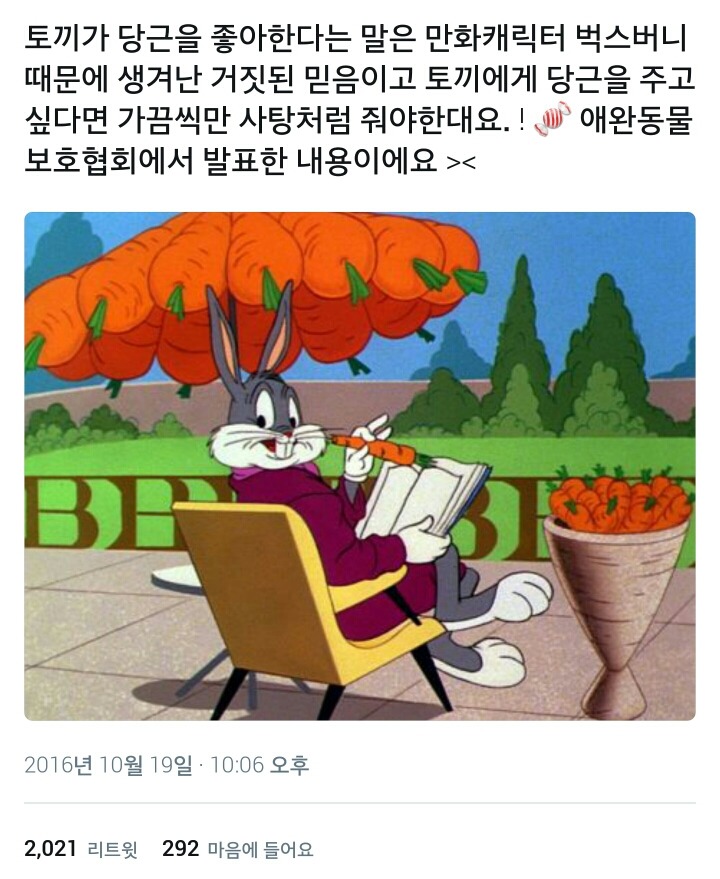토끼가 당근을 좋아한다는 것은 잘못된 정보임.twt | 인스티즈