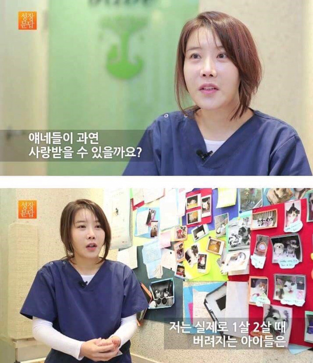 동물을 좋아하는 사람이 동물을 버린단 말이에요 | 인스티즈