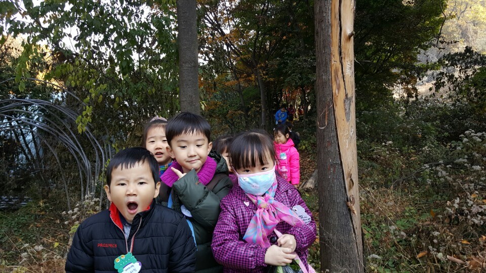 시립푸른어린이집 이미지