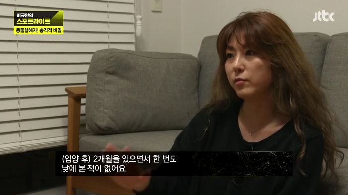개 50여마리를 담뱃불로 지지고 던지고 매질해 살해한 남고생 7명.jpg | 인스티즈