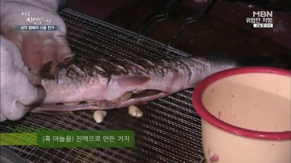 마늘 덕후 나는 자연인이다 | 인스티즈