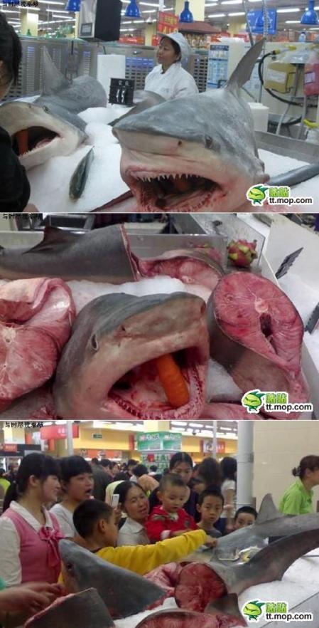 대륙의 생선 코너 | 인스티즈