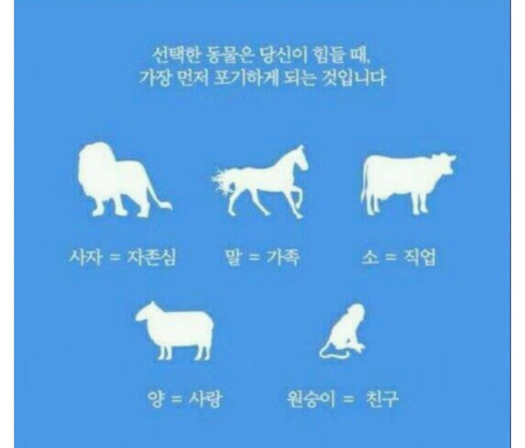 미국에서 유행했던 정확한 심리테스트 | 인스티즈