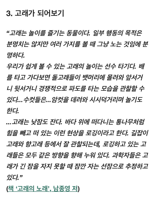 상상으로라도 더위를 식혀주는 책 속의 구절 4가지 | 인스티즈