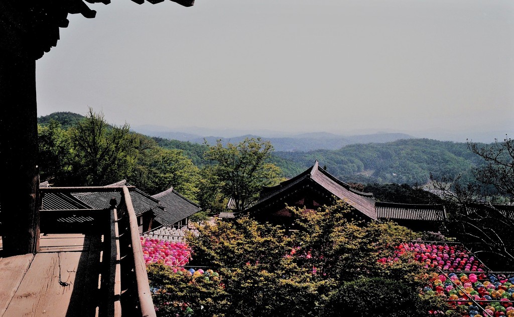필름35 이미지