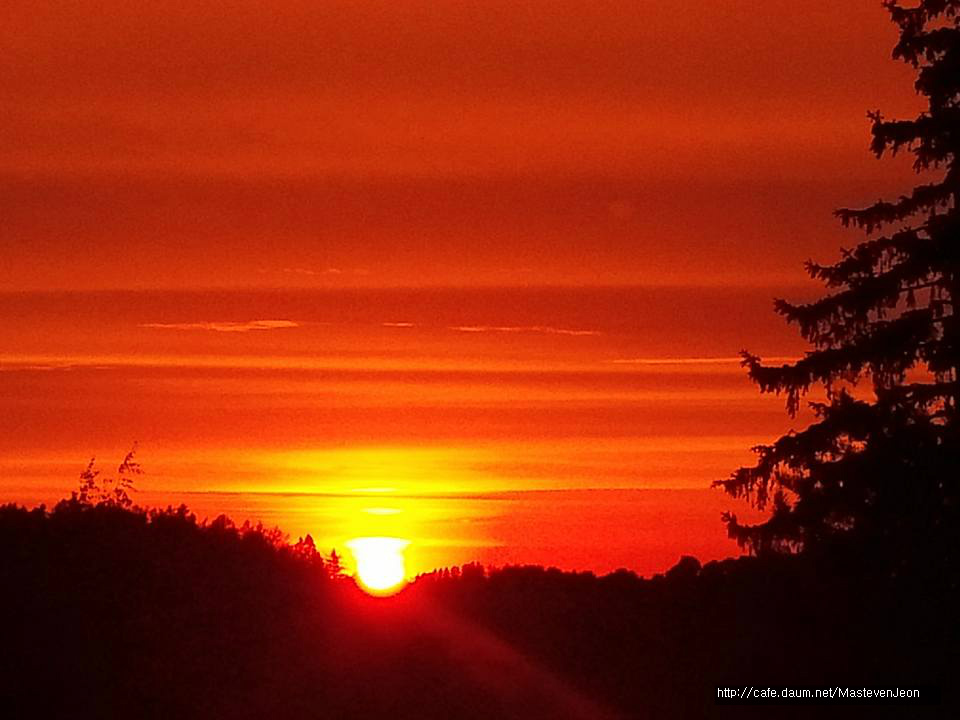 226F234B5763E4D70F4E95