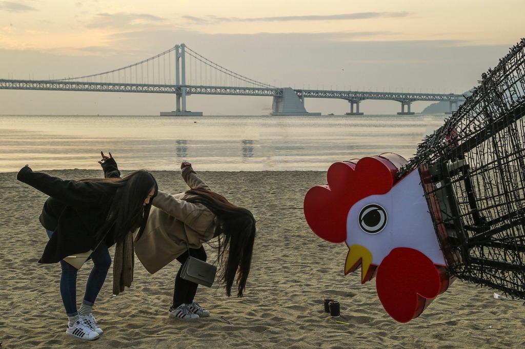 꼬끼오 이미지