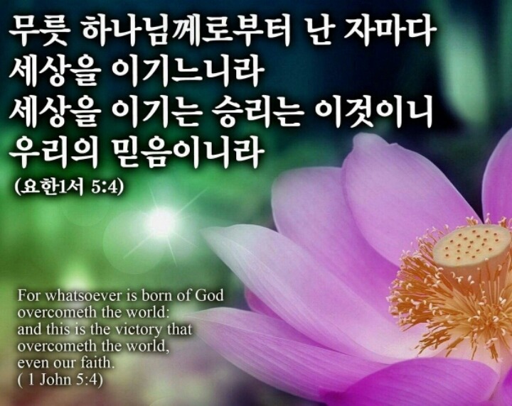 토기장이 이미지