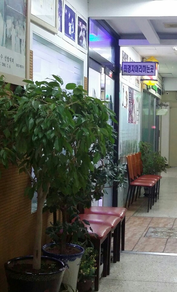 최경자머리하는곳 이미지