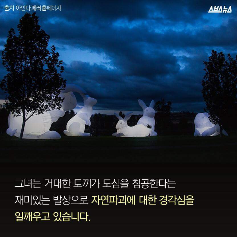 한국을 습격한 거대 토끼 | 인스티즈