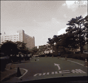 자해공갈단.gif | 인스티즈