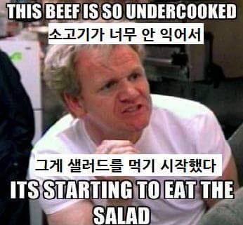고든램지 어록모음.jpg | 인스티즈