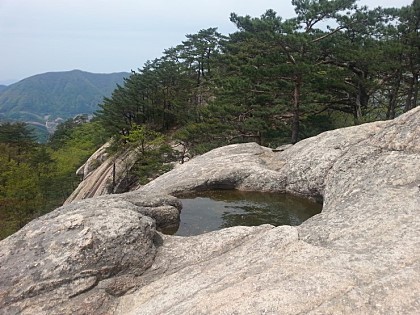 띠아모 이미지