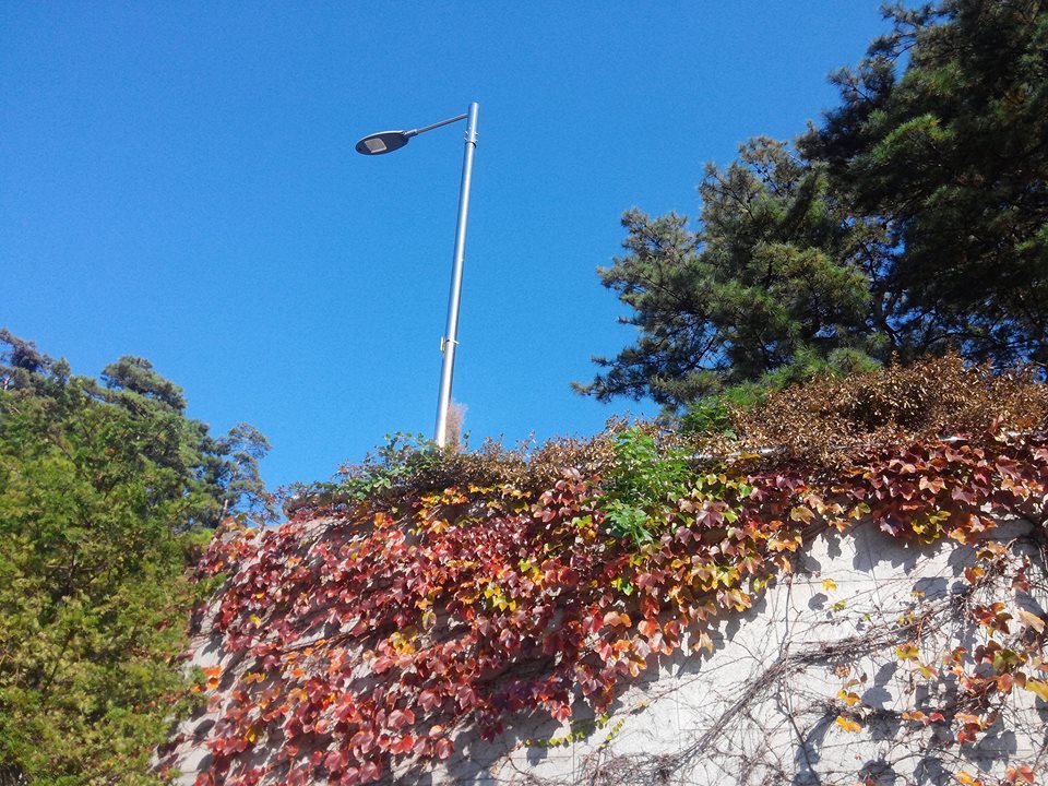 233BCD36582C3BF63AEF4E